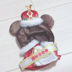 ディズニーストア ユニベアシティ コスチューム 本日の主役