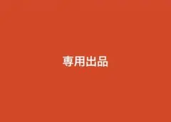 専用出品
