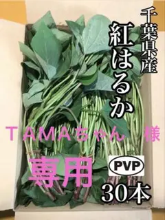 ＴＡＭＡちゃん　様　専用
