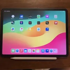 iPad Pro 11インチ 64GB SIMフリー Apple Pencil付