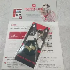 Item thumbnail for item 9d2c8918-7488-47ca-8f9c-9bac68699c19