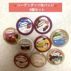❤️ハーゲンダッツ缶バッジ　9個セット