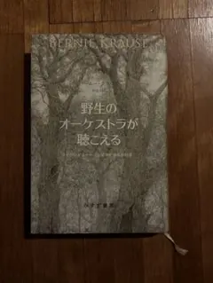 しそジュース様 リクエスト 2点 まとめ商品