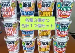 日清カップヌードル BIG 各種12個セット！