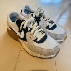 ナイキ AIR MAX エクシー25.5センチ