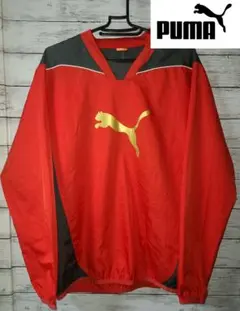 【PUMA】　プーマピステ