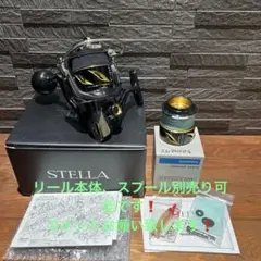 megabass52ほぼ未使用品　19ステラsw800hg megabass52ほぼ未使用品 19ステラsw800hg 2025年最新】19ステラ