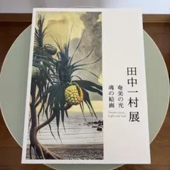 田中一村展 奄美の光 魂の絵画 図録 - メルカリ