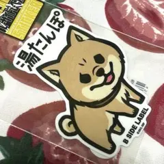 ゴールドデンカムイ リュウ 湯たんぽ B-SIDE LABEL ステッカー