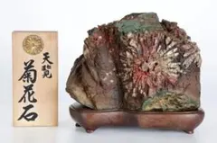 2025年最新】鑑賞石 台座付の人気アイテム - メルカリ