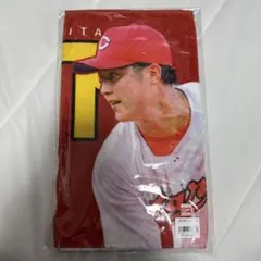 広島東洋カープ 森下暢仁 フェイスタオル