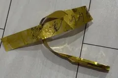 龍宮城 Ray 竹内黎 銀テープのサムネイル