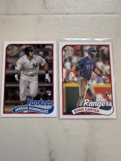 Item thumbnail for item a4205b1e-7d66-4456-8339-dac7ebdcb1d6