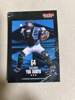 田宮裕涼 5月 FAV MONTHLY HERO 3点セット 2025年最新】田宮裕涼 トレカの人気アイテム - メルカリ