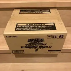 2025年最新】ターミナルワールド カートンの人気アイテム - メルカリ