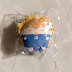 ハイキュー くじメイト ぬいくじ てのりんず E賞 日向翔陽