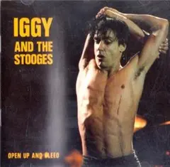Iggy Pop & The Stooges CD