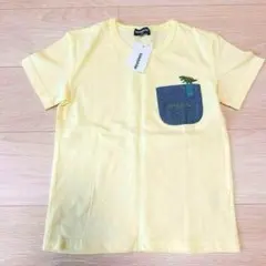 【新品タグ付き】クレードスコープ★恐竜刺繍TシャツB★サイズ120