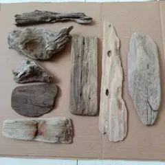 流木 8点セット 自然素材 工作用