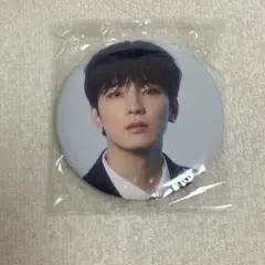 SEVENTEEN ウォヌ DREAM 缶バッジ