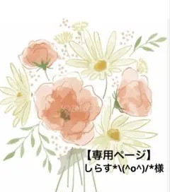 【しらす*\(^o^)/*様】専用ページ　　マインクラフト　ランチセット