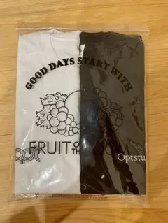 FRUIT OF THE LOOM Optstuff Tシャツ 2枚組 - メルカリ