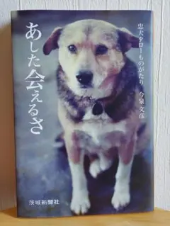 あした会えるさ 忠犬タローものがたり　今泉文彦 Amazon.co.jp: あした会えるさ―忠犬タローものがたり : 今泉