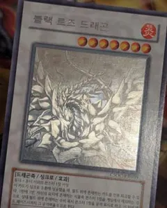 し*せ様 韓国版 ブラック・ローズ・ドラゴン ホログラフィックレア 遊戯王】ブラック・ローズ・ドラゴン(H)(CSOC-JP039)◇ホロ