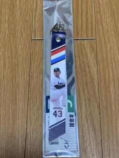 東京ヤクルトスワローズ　山本大貴 投手　ファン感ボンフィン