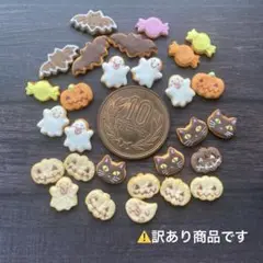 ハロウィンクッキー(訳あり商品 ￥2300相当)