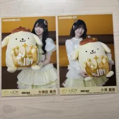 大信田美月 小澤愛實 生寫真 懶懶熊