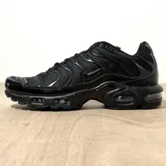 29cm ナイキ エアマックスプラス 
