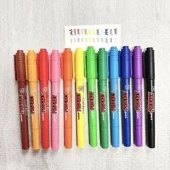 【ケースなし】プロッキー　12色セット　ツインタイプ