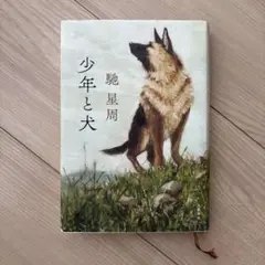 少年と犬