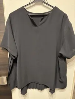 IEDIT 接触冷感・ＵＶカットさらりと上品なバックプリ―ツブラウスのサムネイル
