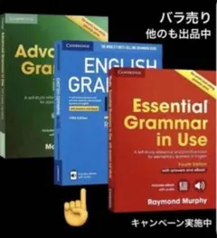 Grammar in Use 英文法　初中高級 バラ売り