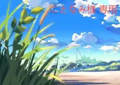 ことなみ様専用のため、他の方はご購入をお控えください。