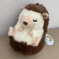 ゆりかごハリネーズ　ハリネズミ ぬいぐるみ マスコット　ブラシちゃんAMUFUN