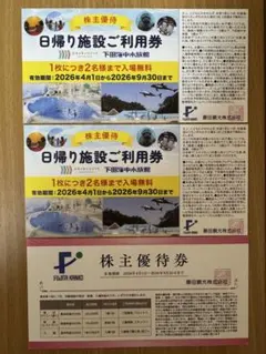 藤田観光 株主優待券（ユネッサン4人分無料券＋10人まで半額になる券）のサムネイル