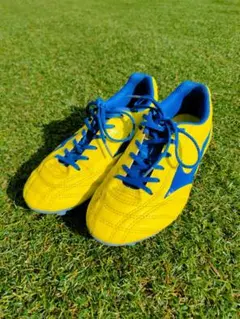 2025年最新】モレリア スパイク黄色の人気アイテム - メルカリ