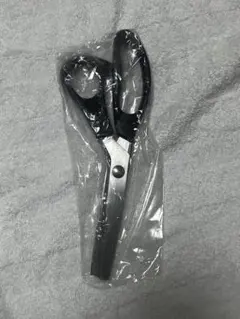 Item thumbnail for item 52b16922-bca7-4a93-8012-c7d061bd53a7