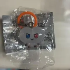 TRUZめじるしアクセサリー