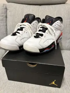 Nike Air Jordan 6 Golf