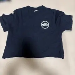 VANS ヴァンズ Tシャツ ブラック Mサイズ ロゴ 短丈 黒のサムネイル