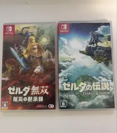 ゼルダの伝説 TEARS OF THE KINGDOM & ゼルダ無双
