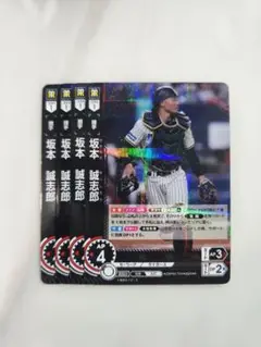 ドリームオーダー 阪神 坂本誠志郎