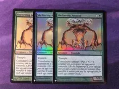 MTG　避難の古木/Sheltering Ancient　Foil　3枚セット