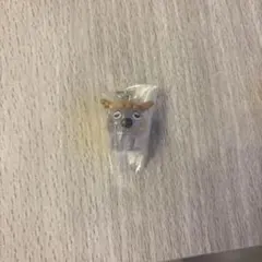 ぜんまいざむらい　めじるしアクセサリー