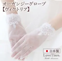 Item thumbnail for item 24df249e-c929-48ad-8c17-24930bf5a6f4