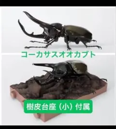 【オンライン限定】いきもの大図鑑 コーカサスオオカブト(改)樹皮台座(小)セット